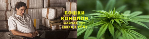 мяу мяу мука Покачи