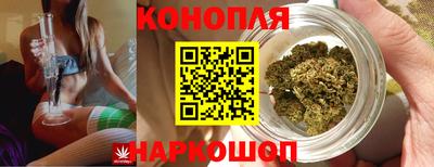не бодяженный Заводоуковск