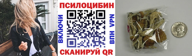 Галлюциногенные грибы мицелий  где найти наркотики  Нижневартовск 